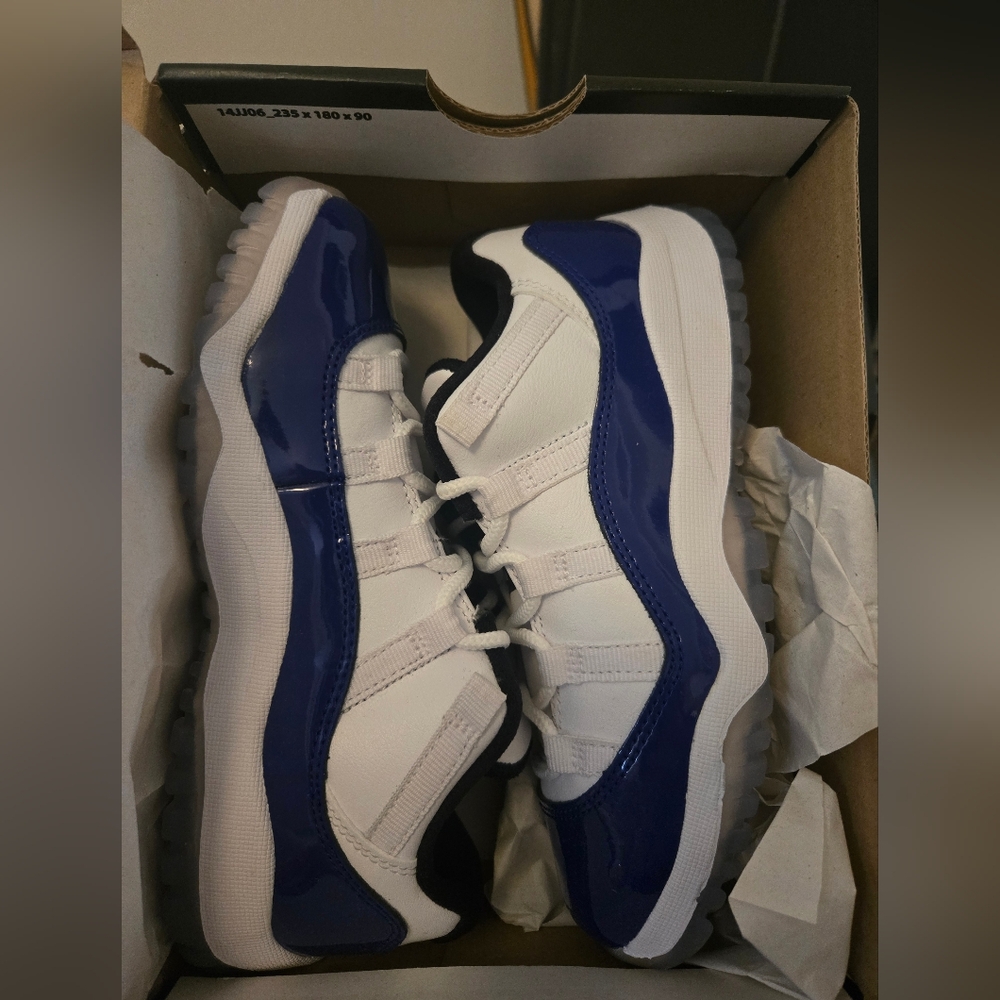 Jordan 11 lows